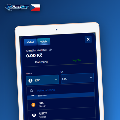 Rychlý výběr přes e-peněženku v Bassbet Casino Casino